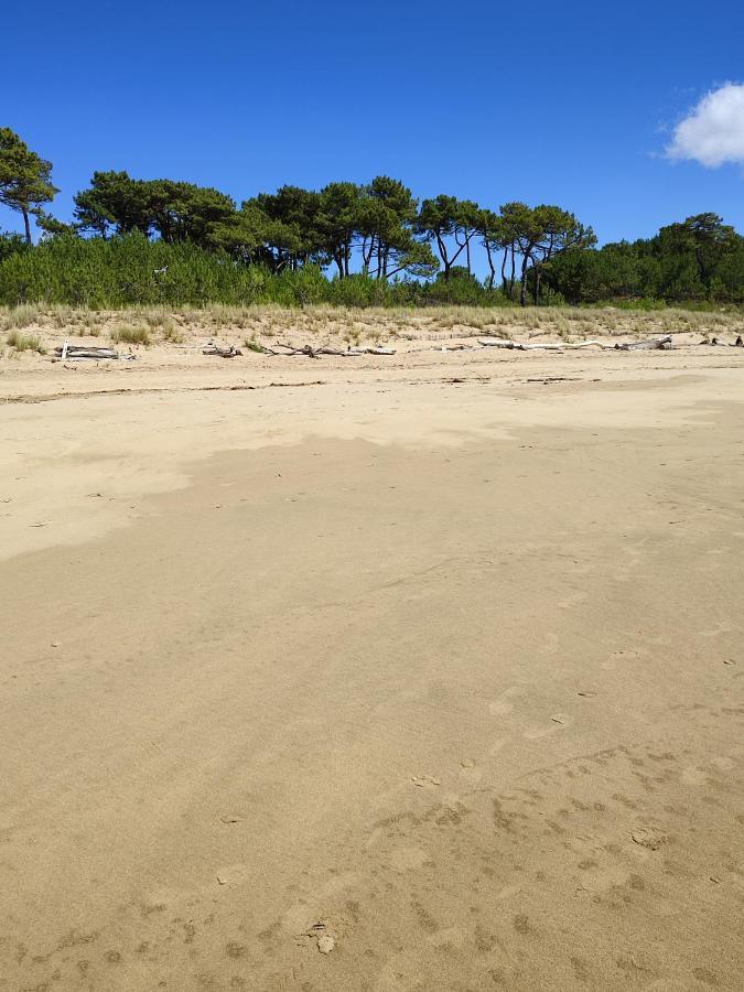 Idealement Situe, Tout A Pied, 60M2 سان-جورج-دي-ديدون المظهر الخارجي الصورة